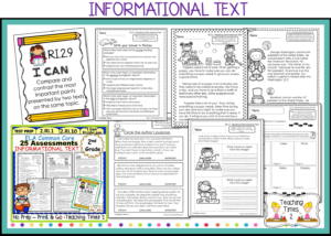 2nd Grade Common Core ELA Assessments - Teaching Times 2